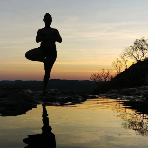 tree pose sunset
